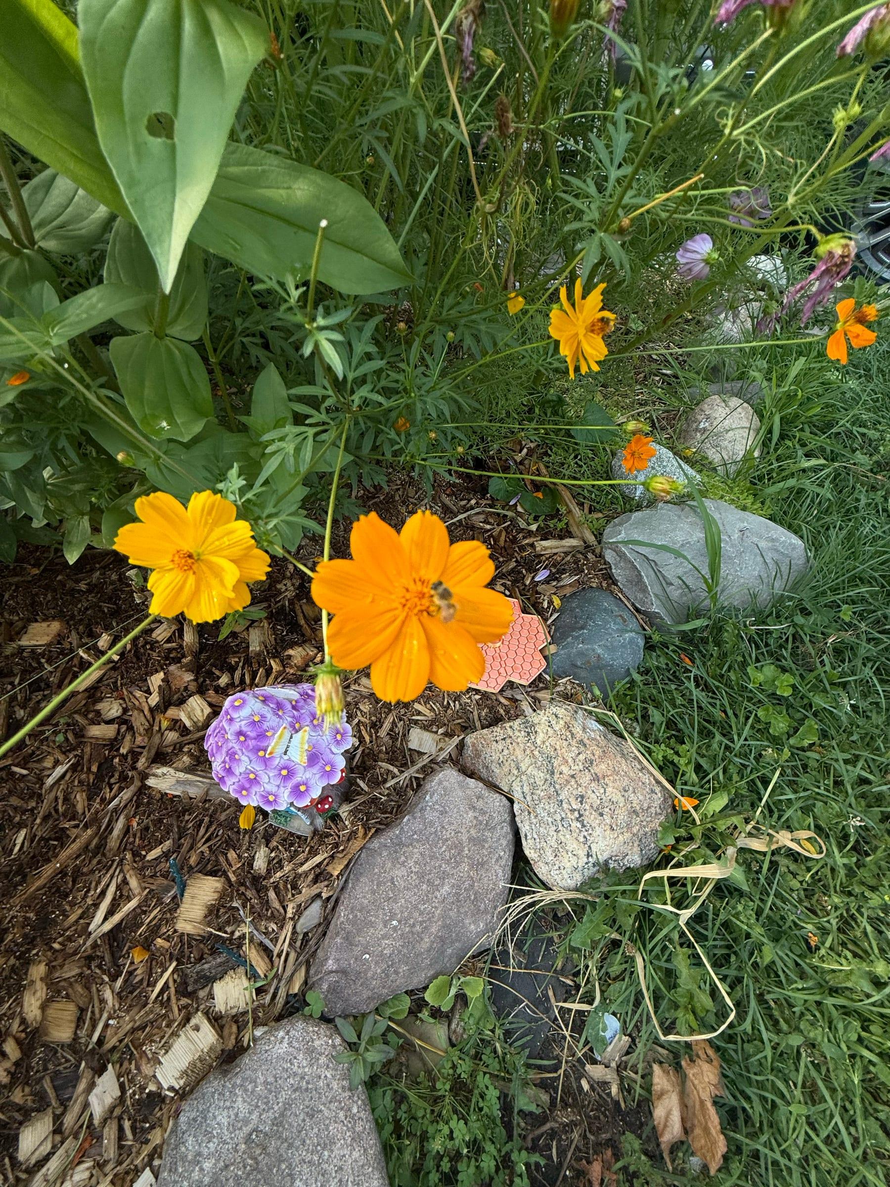 Orange cosmos and purple blooms along a stone border